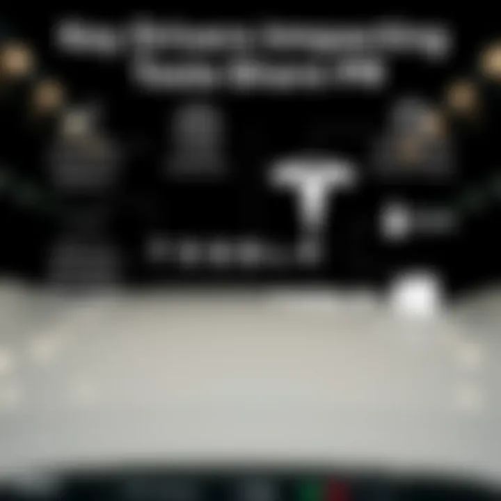 Illustration of various factors such as company performance, global events, and industry changes affecting Tesla's stock value