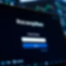 Secure login interface of Raceoption showing username and password fields